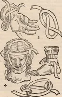 An illustration from Galeni omnia quae extant opera : in latinum sermonem conuersa (1565)
