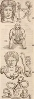 An illustration from Galeni omnia quae extant opera : in latinum sermonem conuersa (1565)