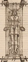Picture 240 of 246 from Galeni omnia quae extant opera : in latinum sermonem conuersa (1565), leaf 1246