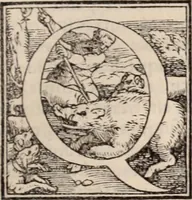An illustration from Galeni omnia quae extant opera : in latinum sermonem conuersa (1565)