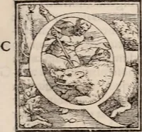 An illustration from Galeni omnia quae extant opera : in latinum sermonem conuersa (1565)
