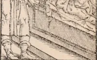 An illustration from Galeni omnia quae extant opera : in latinum sermonem conuersa (1565)