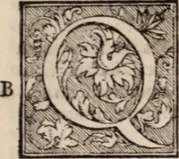 Picture 75 of 246 from Galeni omnia quae extant opera : in latinum sermonem conuersa (1565), leaf 868