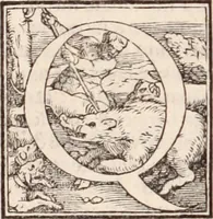 Picture 82 of 246 from Galeni omnia quae extant opera : in latinum sermonem conuersa (1565), leaf 971