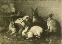 Picture 18 of 31 from Galerie Henneberg, Zürich ... : Auktion in München in der Galerie Helbing (1903), leaf 30