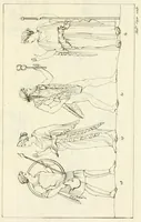 Picture 3 of 36 from Galerie mythologique : recueil de monuments pour servir à l'étude de la mythologie, de l'histoire de l'art, de l'antiquité figurée, et du langage allégorique des anciens : avec 190 planches gravées au trait, contenant près de 800 monuments antiques, tels que statues, bas-reliefs, pierres gravées, médailles, freques et peintures de vases, dont plus de 50 sont inédits (1811), leaf 243