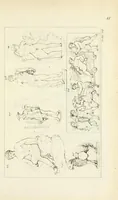 An illustration from Galerie mythologique : recueil de monuments pour servir à l'étude de la mythologie, de l'histoire de l'art, de l'antiquité figurée, et du langage allégorique des anciens : avec 190 planches gravées au trait, contenant près de 800 monuments antiques, tels que statues, bas-reliefs, pierres gravées, médailles, freques et peintures de vases, dont plus de 50 sont inédits (1811)