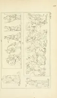 Picture 21 of 36 from Galerie mythologique : recueil de monuments pour servir à l'étude de la mythologie, de l'histoire de l'art, de l'antiquité figurée, et du langage allégorique des anciens : avec 190 planches gravées au trait, contenant près de 800 monuments antiques, tels que statues, bas-reliefs, pierres gravées, médailles, freques et peintures de vases, dont plus de 50 sont inédits (1811), leaf 333