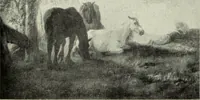 An illustration from Galerie v Rudolfin (1913)