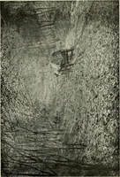 An illustration from Galerie v Rudolfin (1913)