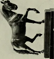An illustration from Galerie v Rudolfin (1913)