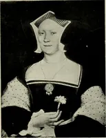 Picture 20 of 111 from Galerie v Rudolfin (1913), leaf 60
