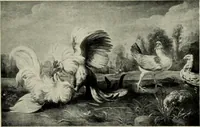An illustration from Galerie v Rudolfin (1913)