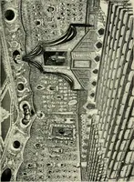 An illustration from Galileo, his life and work (1903)