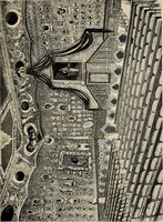 An illustration from Galileo, his life and work (1903)