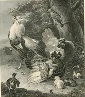 An illustration from The galleries of Vienna; a selection of engravings after the most celebrated pictures in the Imperial gallery of the Belvedere, and from other renowned collections in Vienna. With descriptive text (1867)