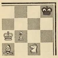 An illustration from The game of chess (1895)