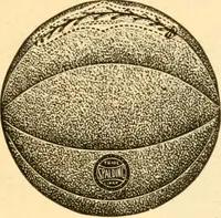 Picture 12 of 53 from The games of lawn hockey, tether ball, golf-croquet, hand tennis, volley ball, hand polo, wicket polo, laws of badminton, drawing room hockey, garden hockey (1903), leaf 65