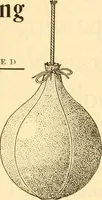An illustration from The games of lawn hockey, tether ball, golf-croquet, hand tennis, volley ball, hand polo, wicket polo, laws of badminton, drawing room hockey, garden hockey (1903)