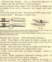Picture 2 of 6 from Games of the North American Indians (1907), leaf 329