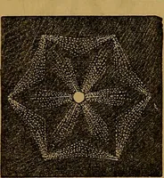 An illustration from Games of skill, and conjuring: including draughts, dominoes, chess, morrice (1865)