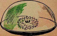 Picture 99 of 133 from Games, pastimes and amusements, for boys and girls; (1906), leaf 173