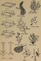 Picture 124 of 133 from Games, pastimes and amusements, for boys and girls; (1906), leaf 214