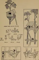 Picture 126 of 133 from Games, pastimes and amusements, for boys and girls; (1906), leaf 222
