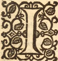 An illustration from Gangraena : or A catalogue and discovery of many of the errours, heresies, blasphemies and pernicious practices of the sectaries of this time .. (1646)
