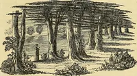 An illustration from The gardener's magazine and register of rural & domestic improvement (1826)