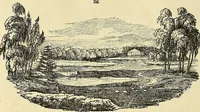 An illustration from The gardener's magazine and register of rural & domestic improvement (1826)