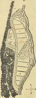 An illustration from The gardener's magazine and register of rural & domestic improvement (1826)
