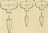 An illustration from The gardener's magazine and register of rural & domestic improvement (1826)