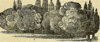 An illustration from The gardener's magazine and register of rural & domestic improvement (1826)