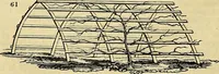 An illustration from The gardener's magazine and register of rural & domestic improvement (1826)