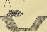 An illustration from The gardener's magazine and register of rural & domestic improvement (1826)