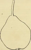 An illustration from The gardener's magazine and register of rural & domestic improvement (1826)
