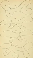 An illustration from The gardener's magazine and register of rural & domestic improvement (1826)