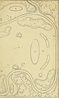An illustration from The gardener's magazine and register of rural & domestic improvement (1826)