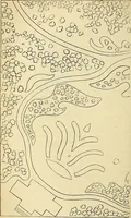 An illustration from The gardener's magazine and register of rural & domestic improvement (1826)