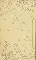 An illustration from The gardener's magazine and register of rural & domestic improvement (1826)