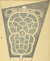 An illustration from The gardener's magazine and register of rural & domestic improvement (1826)