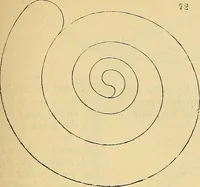 An illustration from The gardener's magazine and register of rural & domestic improvement (1826)