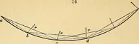 An illustration from The gardener's magazine and register of rural & domestic improvement (1826)