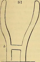 An illustration from The gardener's magazine and register of rural & domestic improvement (1826)