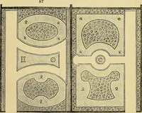 An illustration from The gardener's magazine and register of rural & domestic improvement (1826)
