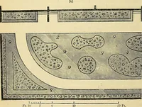 An illustration from The gardener's magazine and register of rural & domestic improvement (1826)
