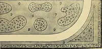 Picture 89 of 94 from The gardener's magazine and register of rural & domestic improvement (1826), leaf 587