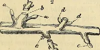 An illustration from The gardener's magazine and register of rural & domestic improvement (1826)