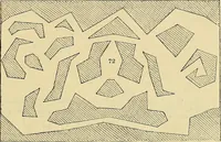 An illustration from The gardener's magazine and register of rural & domestic improvement (1826)